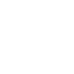 Le Stock